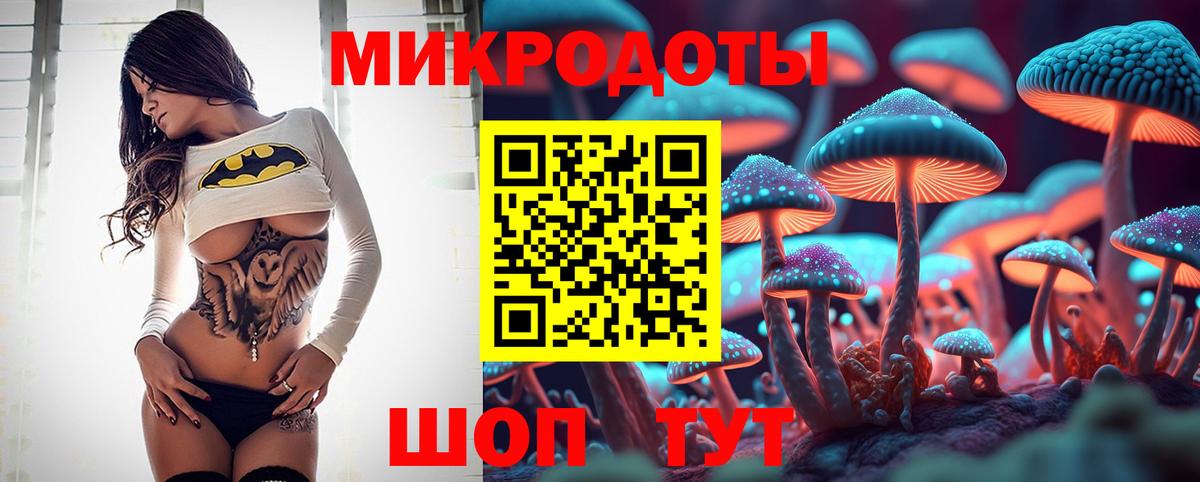 Псилоцибиновые грибы мицелий Муром